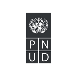 pnud